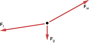 A free-body diagram illustrates three forces acting on a point: gravitational force (Fg) downward, tension force (Ft) leftward, and wind force (Fw) upward and rightward.