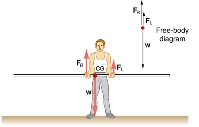 A pole vaulter is standing on the ground holding a pole with his two hands. The center of gravity of the pole is between the hands of the pole vaulter and is near the right hand of the man. The weight W is shown as an arrow downward toward center of gravity. The reactions F sub R and F sub L of the hands of the man are shown with vectors in upward direction. A free body diagram of the situation is shown on the top right side of the figure.