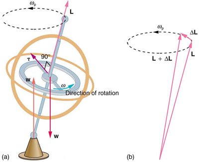 In figure a, the gyroscope is rotating in counter clockwise direction. The weight of the gyroscope is acting downward. The supportive force is acting at the base. The line of action of the weight and supportive force are different. The torque is acting along the radius of the horizontal circular part of gyroscope. In figure b, the two vectors L and L plus delta L are shown. The vectors start from a point at the bottom of the figure and terminate at two points on a horizontal dotted circle, directed in counter clockwise direction, at the top of the figure. Another vector delta L starts from the head of vector L and terminates at the head of vector L plus delta L.