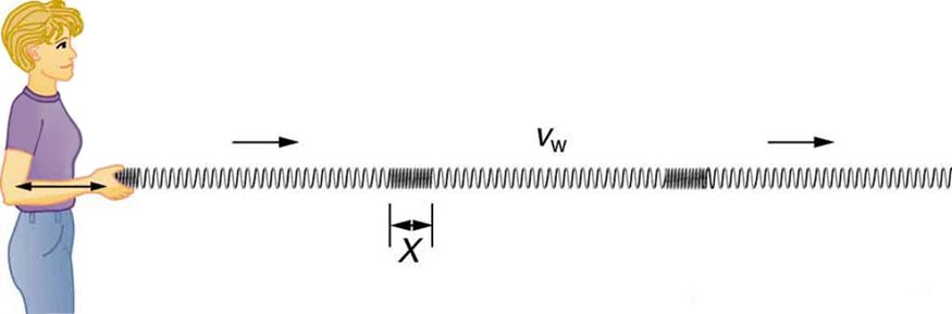 The figure shows a woman standing at left pushing a long spring in to and fro motion in horizontal direction away from her without moving her hand up and down. The cord stretches and contracts back and forth. This is an example of a longitudinal wave, the wave propagates horizontally. At some points the spring is compressed and at some other points the spring is expanded. One contracted part is equal to the amplitude X.