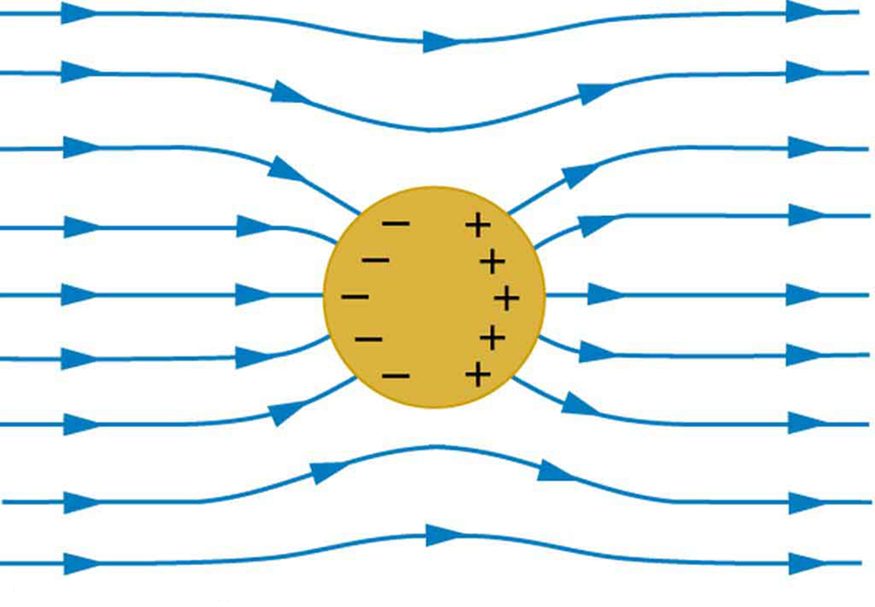 A spherical conductor is placed in the external electric field. The field lines are shown running from left to right. The field lines enter and leave the conductor at right angles. Negative charges accumulate on the left surface of the conductor and positive charges accumulate on the right surface of the conductor.