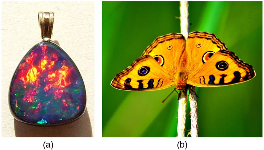 Colorful photos of an Australian opal and a butterfly. The opal is full of fiery reds and yellows and deep blues and purples. The butterfly has its yellow wings spread and you can see its characteristic red, blue, and black spots and fringing.