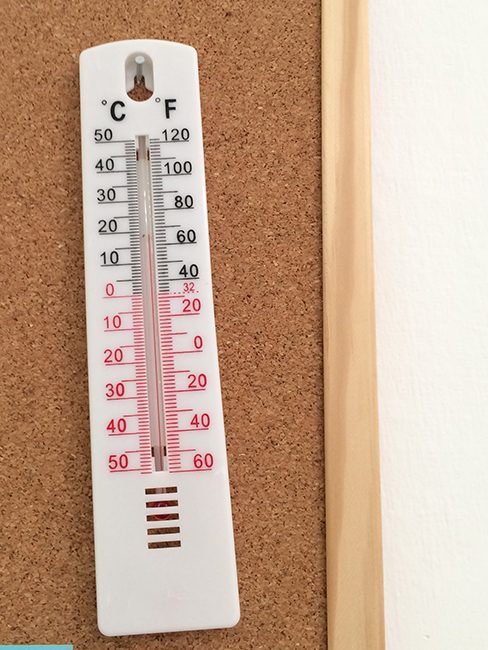 A close-up view of a thermometer shows 19 degrees Celsius and 66 degrees Fahrenheit. The thermometer is positioned near a plant.