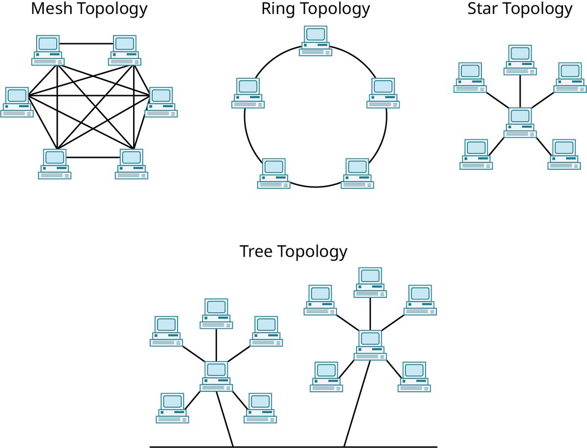 Four illustrations represent the common network configurations. The first illustration represents mesh topology. Six computers are interconnected. The second illustration represents a ring topology. Five computers are connected in a ring. The third illustration represents star topology. A computer at the center is connected to five computers surrounding it. The fourth illustration represents tree topology. Two branches arise from a horizontal bus. Each branch has a computer at the center connected to five computers surrounding it.
