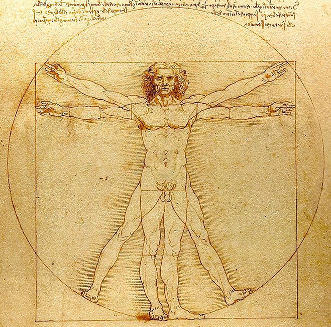 A scanned image of Vitruvian Man sketch.