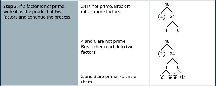 Step 3 is to treat the composite factor as a product, break it into two more factors and continue the process. 24 is not prime. It is broken into 4 and 6. 4 and 6 are not prime. 4 is broken into its factors 2 and 2, both of which are circled. 6 is not prime. It is broken into factors 2 and 3, both of which are circled.