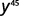 A close-up shot of the mathematical expression y raised to the power of 45, or y^45, written in a dark font against a plain white background.