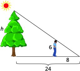 Math problem illustrating similar triangles to determine the height 'h' of a tree. A 6-unit tall person stands 8 units from the end of a 24-unit long shadow cast by the tree under the sun.