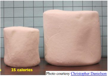Photograph of a regular and a jumbo marshmallow, both squat cylinders, standing side by side in front of a square grid so their sizes can be read off. The regular one, labelled 25 calories, is about 3.5 grid squares wide and 3.5 squares tall; the jumbo one beside it is about 5.5 squares wide and 5 squares tall.