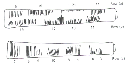 Line drawing of the Ishango bone, a notched bone tool, shown as two long pieces. The upper piece carries row a along its top edge with groups of 9, 19, 21 and 11 notches and row b along its lower edge with groups of 19, 17, 13 and 11 notches; the lower piece carries row c with groups of 7, 5, 5, 10, 8, 4, 6 and 3 notches. Each group is labelled with its count.