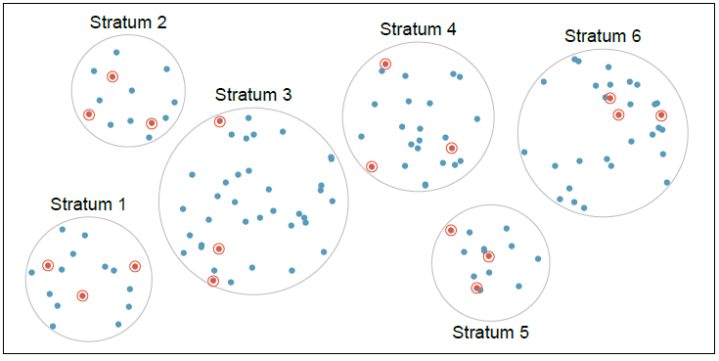 Six circles labeled Stratum 1 through Stratum 6, each holding many blue dots; in every stratum several dots are circled in red, showing a simple random sample drawn from each stratum.