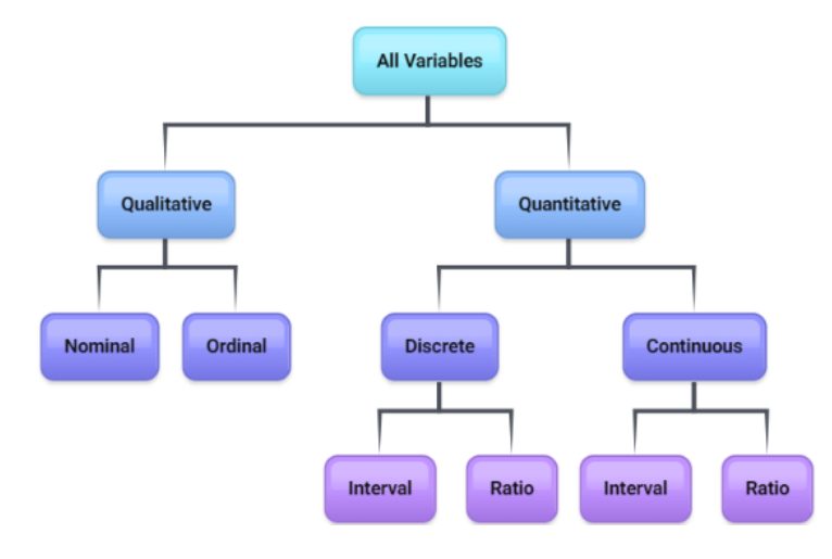 Flowchart classifying variables: All Variables splits into Qualitative and Quantitative; Qualitative branches into Nominal and Ordinal; Quantitative branches into Discrete and Continuous, each of which branches into Interval and Ratio.