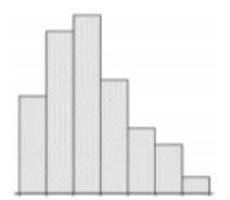 Histogram with unlabeled axes rising to a peak at the third bar and then steadily decreasing to the right, forming a mound with a longer right tail.