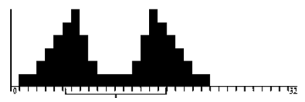 Solid black histogram with two similar stepped mounds, one left of center and one right of center, joined by a low flat stretch of bars between them; axis labels are illegible.