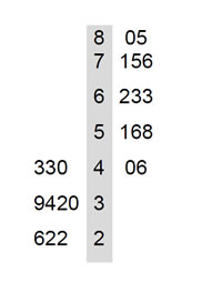 Back-to-back stem and leaf display of memory-for-chess-positions scores, non-players on the left and tournament players on the right, sharing the stems 8 down to 2 (tens digit). Reading the rows: 8|05 and 7|156 and 6|233 and 5|168 and 4|06 on the tournament side; 330|4, 9420|3 and 622|2 on the non-player side (their leaves run right to left). The tournament players' scores are clustered far higher — most in the 50s to 80s — while the non-players fall in the 20s to low 40s.