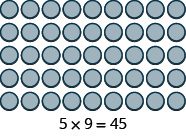 A rectangular array of 45 grey circles, arranged in 5 rows and 9 columns. Below the array, the multiplication equation '5 x 9 = 45' is displayed, illustrating the product of the rows and columns.