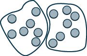 Two irregular shapes enclose groups of grey circles, depicting distinct clusters or collections of items. This image could represent separated data points or cellular groupings.