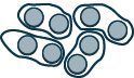 The image shows clusters of grey circles to demonstrate 8 divided by 2.