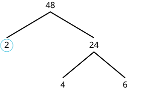 A partially completed factor tree illustrating the prime factorization of the number 48, with the prime factor 2 circled, showing branches for 24, 4, and 6.