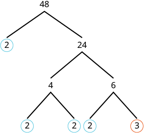 A factor tree demonstrates the prime factorization of 48, revealing its prime factors as 2, 2, 2, 2, and 3, which multiply to 48. This method breaks a number into its fundamental prime components.