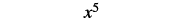 The mathematical expression x raised to the power of 5 (x^5) is centered on a plain white background.
