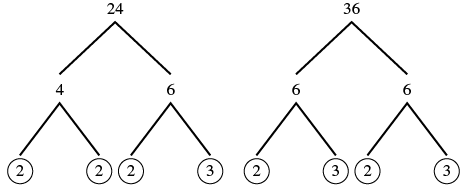 Factor trees demonstrating the prime factorization of 24 and 36.