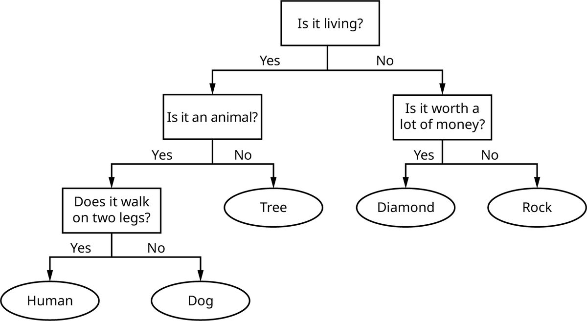 A decision tree. The top box says “is it living?” and branches down to “yes” or “no.” The “yes” box branches to “Is it an animal?” with “no” leading to “tree” and “yes” leading to “does it walk on two legs?” From there, “yes” leads to “human” and “no” leads to “dog.” The original “no” branch leads to “is it worth a lot of money?” with “yes” leading to “diamond” and “no” leading to “rock.”