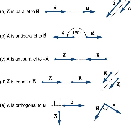Figure a: Two examples of vector A parallel to vector B. In one, A and B are on the same line, one after the other, but A is longer than B. In the other, A and B are parallel to each other with their tails aligned, but A is shorter than B. Figure b: An example of vector A antiparallel to vector B. Vector A points to the left and is longer than vector B, which points to the right. The angle between them is 180 degrees. Figure c: An example of vector A antiparallel to minus vector A: A points to the right and –A points to the left. Both are the same length. Figure d: Two examples of vector A equal to vector B: In one, A and B are on the same line, one after the other, and both are the same length. In the other, A and B are parallel to each other with their tails aligned, and both are the same length. Figure e: Two examples of vector A orthogonal to vector B: In one, A points down and B points to the right, meeting at a right angle, and both are the same length. In the other, points down and to the right and B points down and to the left, meeting A at a right angle. Both are the same length.