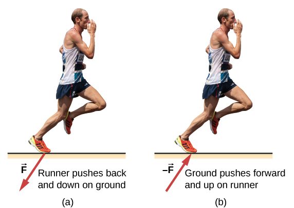 Figure a shows the picture of a runner, labeled, runner pushes back and down on ground. An arrow labeled F from his foot points down and left. Figure b is labeled, ground pushes forward and up on runner. An arrow labeled –F points up and right, towards his foot.