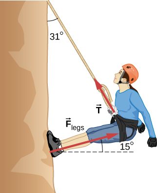 A mountain climber is drawn leaning away from the rock face with her feet against the rock face. The rope extends up from the climber at an angle of 31 degrees to the vertical. The climbers legs are straight and make an angle of fifteen degrees with the rock face. The force vector F sub T starts at the harness and points away from the climber, along the rope. The force vector F sub legs starts at climber’s feet and points away from the rock, parallel to her legs.