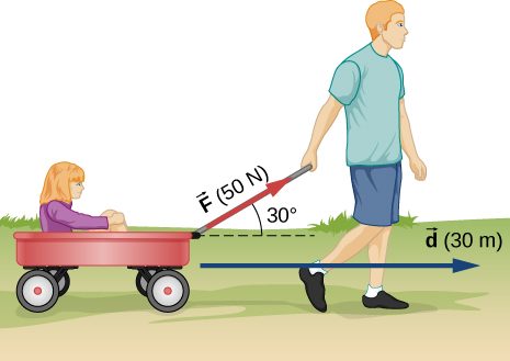 A person is pulling a wagon with a girl in it. The person is pulling with force vector F of 50 Newtons at an angle of 30 degrees to the horizontal. The displacement is a vector d of 30 meters.