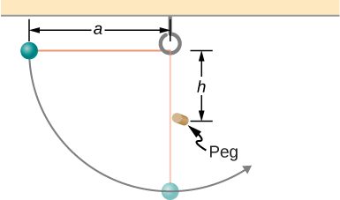A small ball is shown attached to a string of length a. A small peg is located a distance h below the point where the string is supported. The ball is released when the string is horizontal and swings in a circular arc.