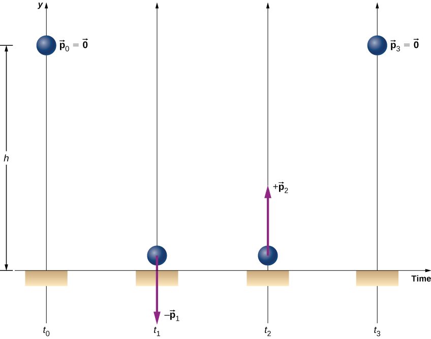 A ball is shown at four different times. At t sub 0 the ball is at a distance h above the floor and has p sub 0 equals 0. At t sub 1 the ball is near the floor. A downward arrow at the ball is labeled minus p sub 1. At t sub 2 the ball is near the floor. An upward arrow at the ball is labeled plus p sub 2. The p sub 1 and p sub 2 arrows are the same length. At t sub 3 the ball at height h again and p sub 3 equals zero.