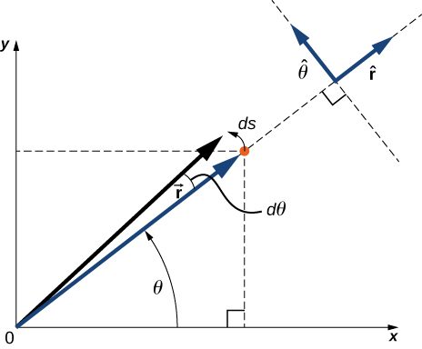 The cartesian x y coordinate system and the polar coordinate r theta coordinate system are shown. A small change in the position has a change in angle d theta and displacement d s. The position unit vector r hat and arc length theta hat unit vector both lie in the xy-plane and are perpendicular to each other. R hat is radial, in the same direction as the vector r. Theta hat is in the direction of d s.