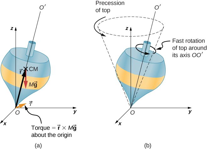 Figure a: An x y z coordinate system is show, with x out of the page, y to the right, and z up. The origin is point O. A top is shown with its point at the origin and its axis tilted away from the vertical z axis. The axis of the top is the line O O prime. The vector r extends from the origin to the center of the mass, labeled as C M, of the top. The force M g acts downward at the center of mass. The torque about the origin is equal to vector r crossed with M vector g. This torque is a vector in the x y plane, perpendicular to the r vector. Figure b: The x y z coordinate and the top are shown. The top is again tilted away from the z axis and is spinning rapidly counterclockwise about the O O prime axis as viewed from above. The precession of the top traces a counterclockwise circle as viewed from above, centered on the z axis. The cone swept by the precession of the top is indicated using dashed lines.