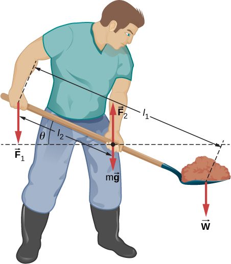 Figure shows a gardener lifting a shovel full of ground with both hands. Force F1 is applied to the back hand. Force F2 is applied to front hand. Force w is applied to the front of shovel with ground. Distance between the back hand and front of shovel is l1. Distance between the back and front hands is l2. Angle between the shovel and line parallel to the ground is theta.