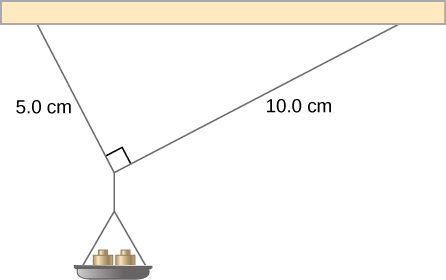 Figure shows small pan of mass supported by two strings intersecting at a 90 degree angle. The length of one string is 5 centimeters, the length of another string is 10 centimeters.