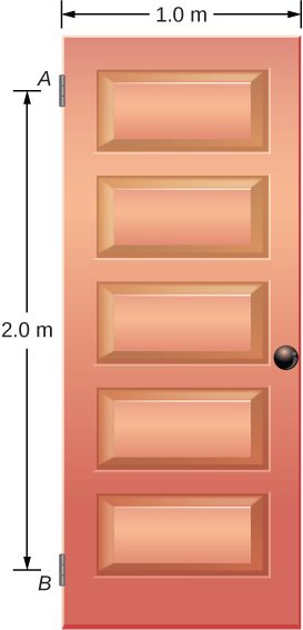 Figure is a schematic drawing of a swinging vertical door supported by two hinges attached at points A and B. The distance between points A and B is 2 meters. Door is one meter wide.