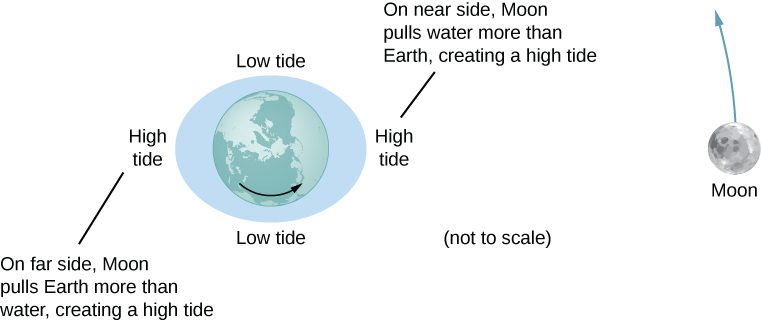 The figure is an illustration of the earth centered within an exaggerated ellipse whose major axis is horizontal. The moon is shown to the right of the earth, moving counterclockwise. The left side of the ellipse is labeled as High tide, with a note that says “on far side, moon pulls earth more than water, creating a high tide.” The right side of the ellipse is labeled as High tide, with a note that says “on near side, moon pulls water more than earth, creating a high tide.” The top and bottom of the ellipse are labeled “Low tide.”