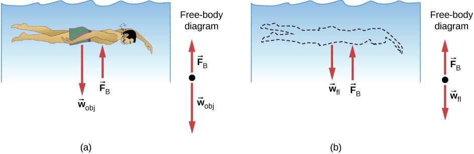 Figure A is a drawing of a person submerged in water. Force wobj is expressed by the person, force Fb is applied by the water to the person. Figure B is a drawing in which the person is replaced by water. Now Force wfl is expressed by the water that replaced the person, force Fb remains the same.