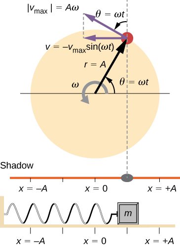 A comparison of the angular location of a peg on a rotating disk, the position of its shadow, and the position of a mass oscillating on a horizontal spring. The disk has radius r = A and rotates counterclockwise with angular velocity omega. The angular position of the peg, theta, is zero when the peg is directly to the right of the center of the disk and is equal to omega t at the time shown. The linear velocity of the peg is shown as a vector tangent to the circle at the edge of the disk. It has magnitude v sub max which is equal to A omega. Its x component is a horizontal leftward vector – v sub max times sine omega t. The peg casts a shadow on a horizontal line. The spring is attached to a wall on the left and a mass on the right. The position of the mass and the shadow is x, where x=0 is directly below the center of the disk, x=-A is directly below the left edge of the disk, and x=+A is directly below the right edge of the disk. In the figure, the peg is in the first quadrant. Its shadow and the mass are both at a position x between 0 and plus A (it appears to be at x = A/2 in the figure.)