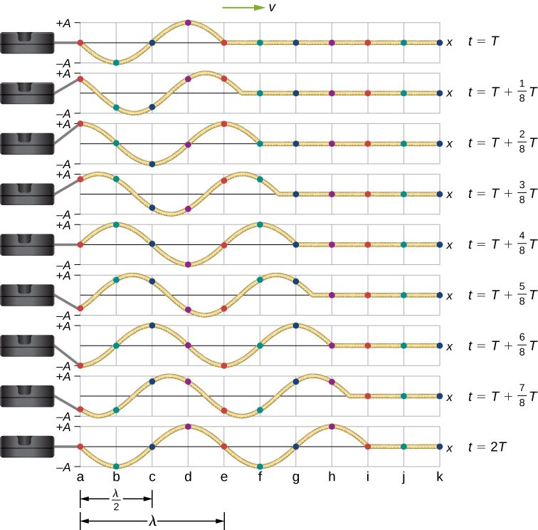 Figure shows different stages of a transverse wave propagating towards the right, taken at intervals of 1 by 8 T. Dots mark points on the wave. These move up and down from – A to +A. A dot that is at the equilibrium position at time t=T, moves to +A at time t=T plus 2 by 8 T. It then moves back to the equilibrium position at time t= T plus 4 by 8 T. It moves to –A at time t=T plus 6 by 8 T and back to the equilibrium position at time t=2T. Similarly, all dots move to their original positions at time t=2T.