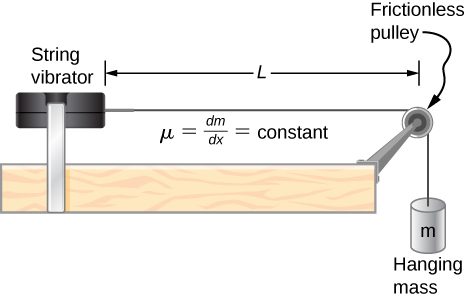 A string vibrator is shown on the left of the figure. A string is attached to its right. This goes over a pulley and down the side of the table. A hanging mass m is suspended from it. The pulley is frictionless. The distance between the pulley and the string vibrator is L. It is labeled mu equal to dm by dx equal to constant.