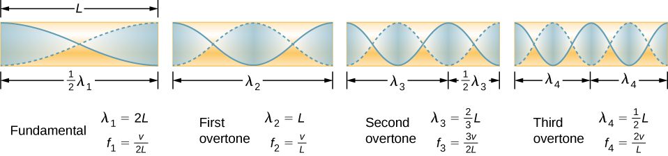 Picture is a diagram of the fundamental and three lowest overtones for a tube closed at one end. Fundamental has half of its wavelength in a tube. First overtone has one of its wavelength in a tube, second overtone has one and a half of its wavelength in a tube, third overtone has two of its wavelength in a tube. All have maximum air displacements at both ends of a tube.