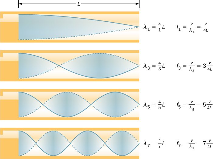 Picture is a diagram of the fundamental and three lowest overtones for a tube closed at one end. Fundamental has quarter of its wavelength in a tube. First overtone has three-quarters of its wavelength in a tube, second overtone has five fourths of its wavelength in a tube, third overtone has seven fourths of its wavelength in a tube. All have maximum air displacements one end and none at the closed end.
