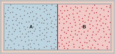 The figure is an illustration of a container with a partition in the middle dividing it into two chambers. The outer walls are insulated.The chamber on the left is labeled with an A, and is full of one gas, indicated by blue shading and many small dots representing the gas molecules. The right chamber is labeled with a B, and is full of a second gas, indicated by red shading and many small dots representing the gas molecules.
