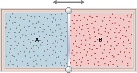 The figure is an illustration of a container with a partition in the middle dividing it into two chambers. A double headed horizontal arrow above the partition indicates that it is moveable The outer walls are insulated. The chamber on the left is labeled with an A, and is full of one gas, indicated by blue shading and many small dots representing the gas molecules. The right chamber is labeled with a B, and is full of a second gas, indicated by red shading and many small dots representing the gas molecules.