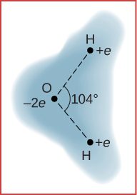 A schematic representation of the outer electron cloud of a neutral water molecule is shown. Three atoms are at the vertices of a triangle. The hydrogen atom has positive q charge and the oxygen atom has minus two q charge, and the angle between the line joining each hydrogen atom with the oxygen atom is one hundred and four degrees. The cloud density is shown as being greater at the oxygen atom.