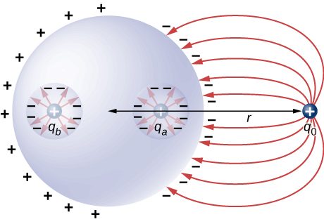 Figure shows a sphere with two cavities. A positive charge qa is in one cavity and a positive charge qb is in the other cavity. A positive charge q0 is outside the sphere at a distance r from its center.