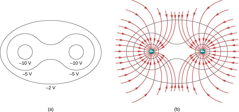 Part a shows equipotential lines around two charges and part b shows two negative charges and their electric field lines.